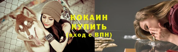 прущие крисы Белокуриха