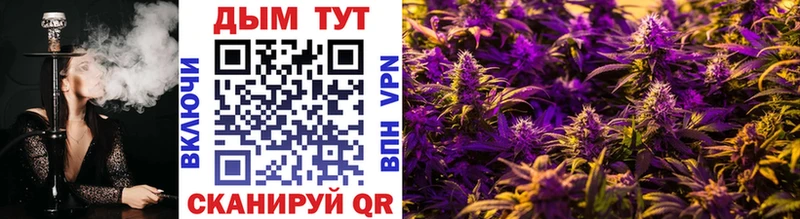 Бошки марихуана LSD WEED  Жиздра 